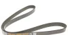 Ремень генератора DAYCO 6PK1255HD (фото 3)