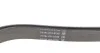 Ремень генератора DAYCO 6PK1610HD (фото 3)
