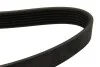 Ремень поликлиновой DAYCO 6PK1625 (фото 2)