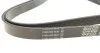 Ремень поликлиновый DAYCO 6PK2155S (фото 2)