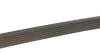 Ремень поликлиновый DAYCO 6PK2155S (фото 4)