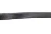 Ремень поликлиновый DAYCO 6PK2185 (фото 3)