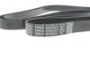 РЕМЕНЬ П-КЛИНОВЫЙ D6PK2515 DAYCO 6PK2515 (фото 4)