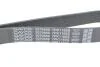 Ремень поликлиновой DAYCO 7PK1165S (фото 4)