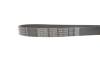 Ремень поликлиновой DAYCO 7PK1334S (фото 3)