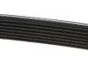 Ремень генератора DAYCO 7PK1569 (фото 3)
