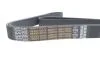 Ремень поликлиновой DAYCO 8PK1795HD (фото 4)