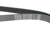 Ремень поликлиновый DAYCO 8PK2285 (фото 4)