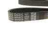 Комплект ременя DAYCO KPV333 (фото 5)