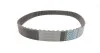 Комплект ГРМ DAYCO KTB897 (фото 2)