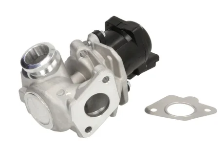 Клапан рециркуляції відпрацьованих газів DL Delphi EG10507-12B1