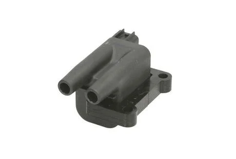 Катушка системы зажигания Delphi GN10396-12B1