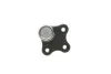 Кульова опора ALFAROMEO/CITROEN/FIAT/OPEL/PEUGEOT Mito/Punto/Fiesta/Corsa D/Bipper "F "08>> Delphi TC1807 (фото 3)