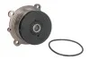 Насос охолоджуючої рідини VOLVO-PENTA MASSEY FERGUSON 3000 VOLVO BL, EC, ECR, EW, FC, L, PL, SD 1 DOLZ D301 (фото 1)