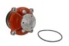 Насос охолоджуючої рідини VOLVO-PENTA MASSEY FERGUSON 3000 VOLVO BL, EC, ECR, EW, FC, L, PL, SD 1 DOLZ D301 (фото 2)
