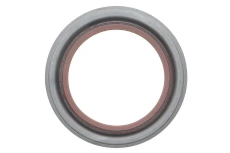 Сальник DP DS 2405 KB