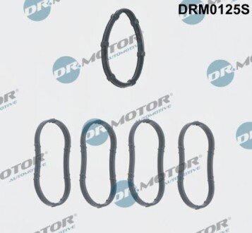 Комплект прокладок гумових Dr.Motor DRM0125S