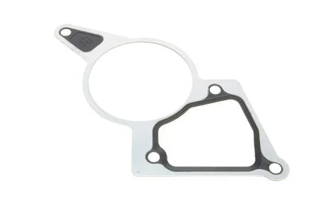 Прокладка, вакуумний насос FORD/PSA 2.2 TDCI (вір-во) ELRING 027.641