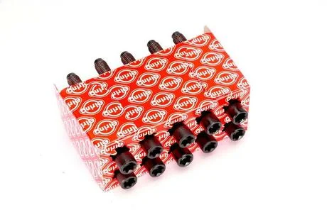 Болти ГБЦ VAG 1.8 20V ADR/AEB ELRING 104.930