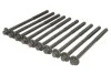 Болты головки блока BMW 1/3/4/5/7/X1/X3/X5 N47/B47 04- ELRING 233370 (фото 1)