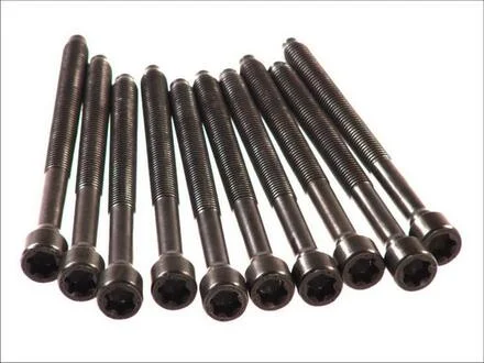 Болт головки блоку VAG 2.0 FSI AWA/AXW/BHD/BLR/BLX/BLY/BMB/BVY/BVZ/BVX ELRING 290.440
