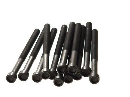 Болти головки блоку T5 2.5TDI 03- (12 шт.) ELRING 326430