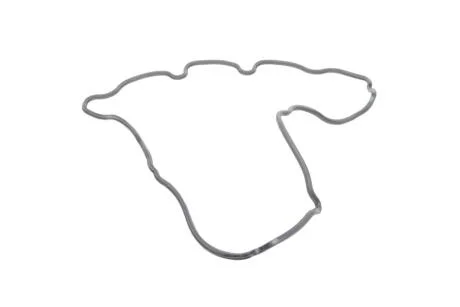 Прокладка кришки клапанів ELRING 571730