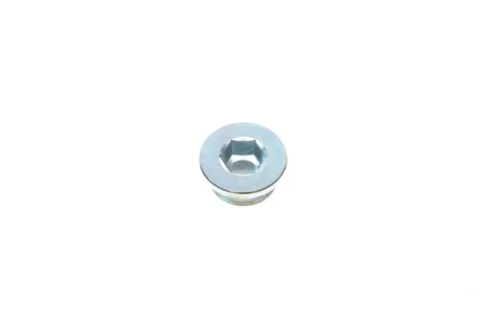 Болт зливу масла ELRING 587180