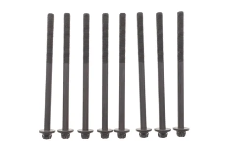 Болти головки блоку циліндрів (комплект) ELRING 593.520