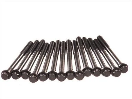 Болт головки блоку (компл.) TOYOTA/VW 2L/2L-T/3L ELRING 708.240
