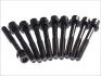 Болти ГБЦ OPEL X18XE/C18XEL/C20XE/X20XEV/Z24XED ELRING 803.010 (фото 1)