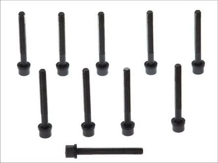 Болти ГБЦ AUDI/VW 1.3/1.6/1.8/2.0 ELRING 819.817