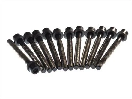 Болти ГБЦ AUDI/VW 2.4D/2.5D/TD (5CYL) BJJ/BJK/BJL/BJM ELRING 819.875