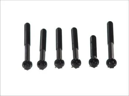 Комплект болтів ГБЦ. MAN D2566/D2840/D2865/D2866/D2876 (1CYL) ELRING 820.548