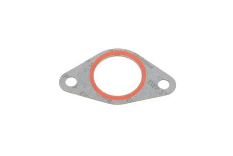 Прокладка колектора IN BMW 2.5TDS M51D25 (6) ELRING 821013