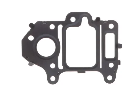 Прокладка клапана відпрацьованих газів ELRING 898.680