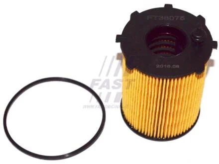 Фільтр масляний 1.6HDI 16V,1.6HDI 8V,1.4HDI 8V,1.4HDI 16V Fiat Scudo 07-16, Peugeot Partner 96-08, Citroen Berlingo 08-18 FAST FT38075