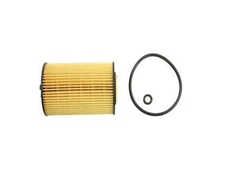 Фільтр масляний VW Golf VI 09-14, Audi A6 11-18, Skoda Octavia A7 13-19 FAST FT38098