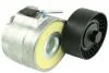 Натяжник пасків приводних Opel 1.3CDTI 03-> FAST FT44542 (фото 1)