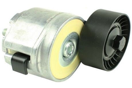 Натяжник паска Fiat, Opel 16D Multijet-20D Multijet 0104- FAST FT44617