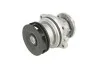 Насос водяний BMW (E36, E46, E39) M50B25, M52B25 (90-00) (Febi) FEBI BILSTEIN 01293 (фото 1)