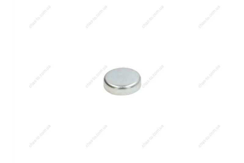 Заглушка блоку VAG/OPEL d 26mm (пр-во FEBI) FEBI BILSTEIN 03201 (фото 1)