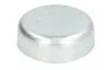 Заглушка блоку OPEL d 28mm (пр-во FEBI) FEBI BILSTEIN 03202 (фото 1)