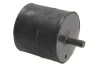 Подушкa двигателя с обеих сторон BMW (FEBI) FEBI BILSTEIN 04076 (фото 2)