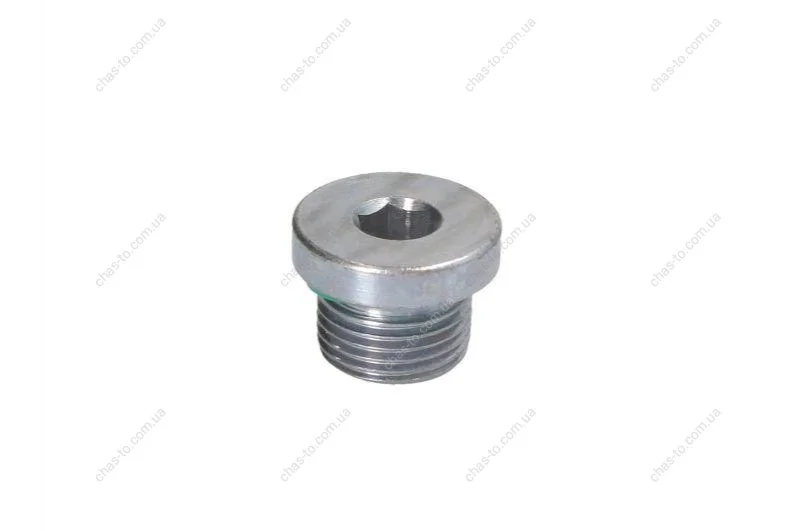 Пробка піддона масляного BMW FE FEBI BILSTEIN 100514 (фото 1)