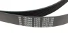 Ремень генератора поликлиновый FEBI BILSTEIN 176965 (фото 2)