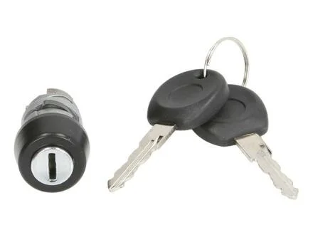 Серцевина для замку запалювання з ключем VW Passat 3 (Febi) FEBI BILSTEIN 17714