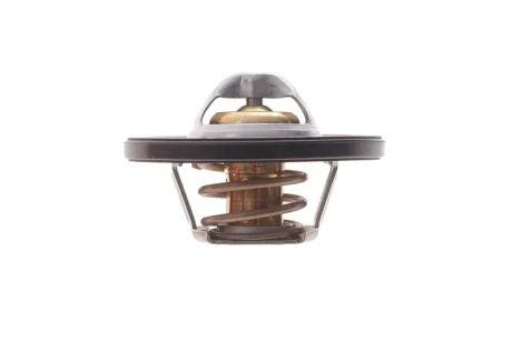 Термостат з ущільнюючим кільцем FEBI BILSTEIN 193096