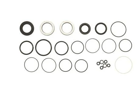 Комплект прокладок рульового механізму BMW 318 / BMW 320 / BMW 316 FE19862 FEBI BILSTEIN 19862