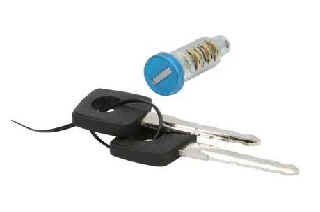 Серцевина замку з 2 ключами (Febi) FEBI BILSTEIN 24976